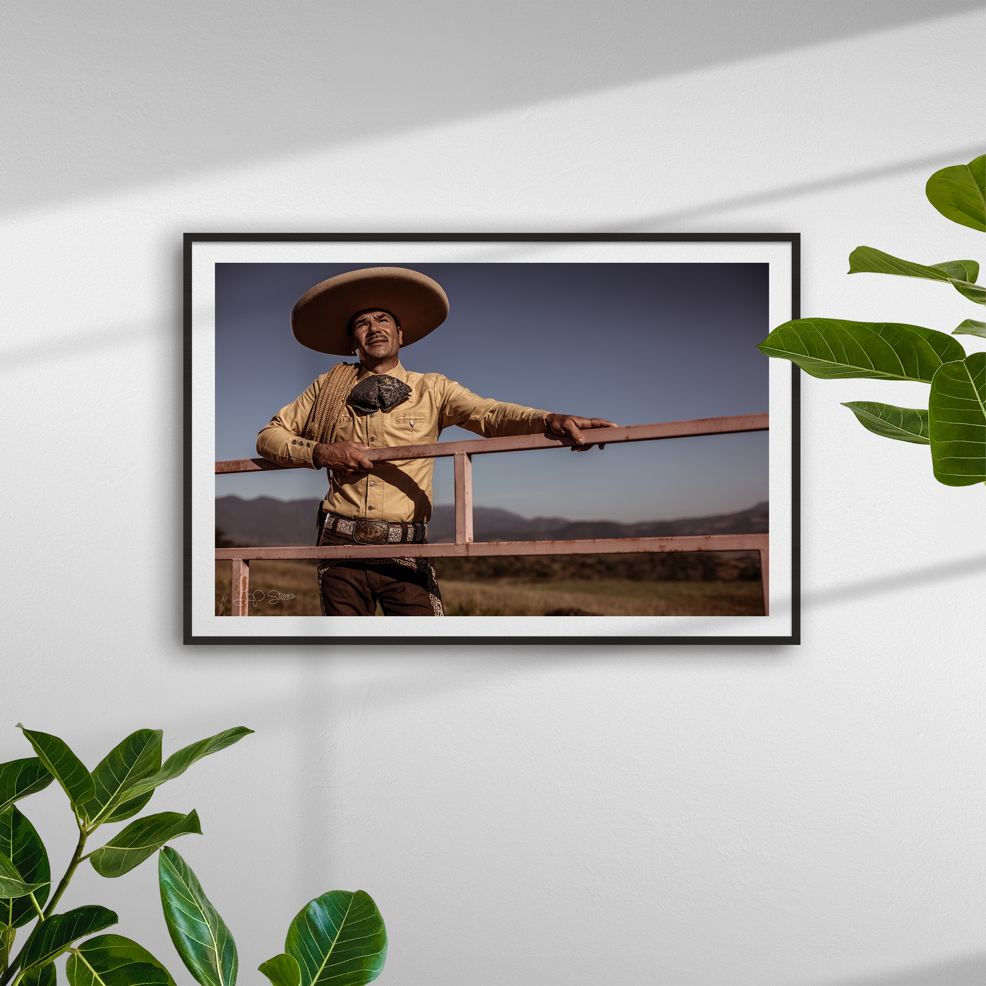 6153_frame_black_plants_horizontal