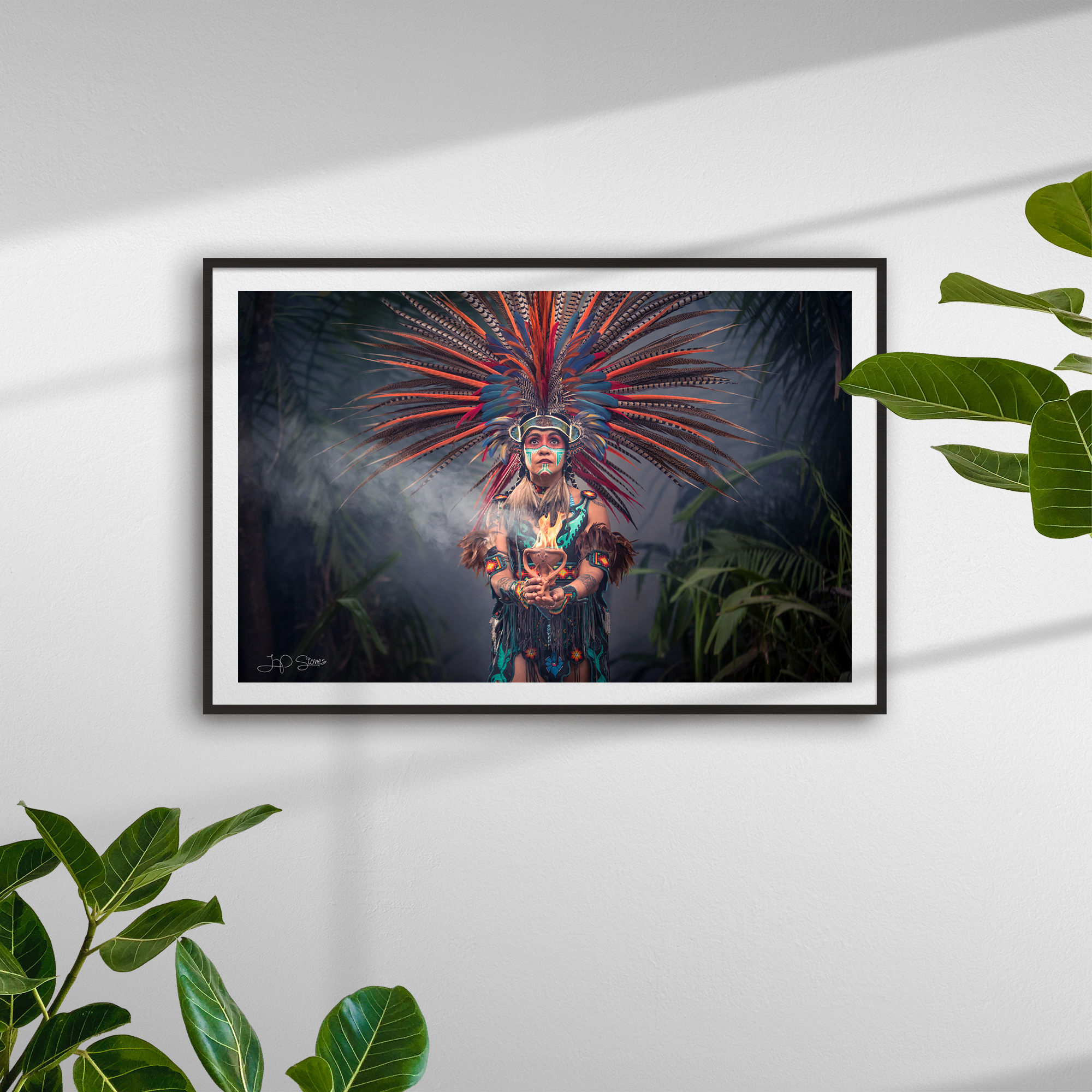 6325_frame_black_plants_horizontal