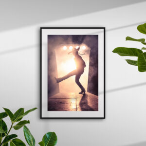 6619_plants_frame_black_both