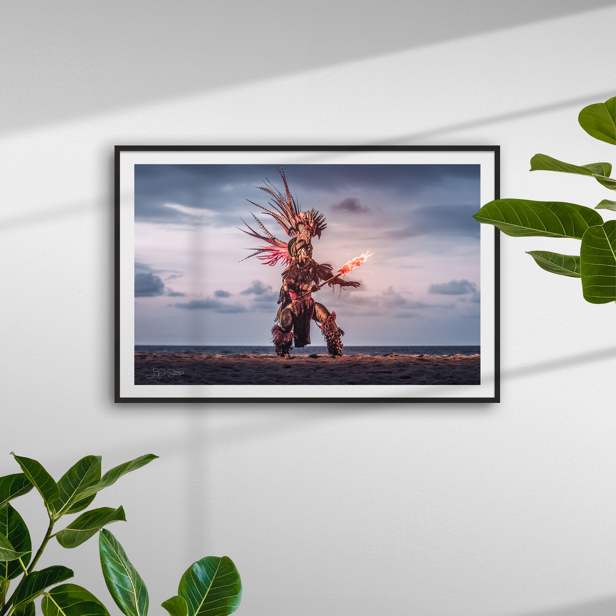 7137_plants_frame_black_both